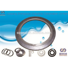 Container with spiral wound gasket